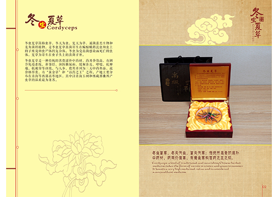 &#20048;&#40060;&#25163;&#26426;&#31449;&#20837;&#21475;&#45;&#20048;&#40060;&#111;&#110;&#108;&#105;&#110;&#101;&#40;&#20013;&#22269;&#41;