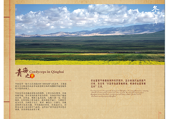 &#20048;&#40060;&#25163;&#26426;&#31449;&#20837;&#21475;&#45;&#20048;&#40060;&#111;&#110;&#108;&#105;&#110;&#101;&#40;&#20013;&#22269;&#41;