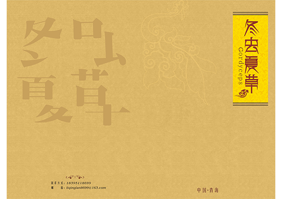 &#20048;&#40060;&#25163;&#26426;&#31449;&#20837;&#21475;&#45;&#20048;&#40060;&#111;&#110;&#108;&#105;&#110;&#101;&#40;&#20013;&#22269;&#41;